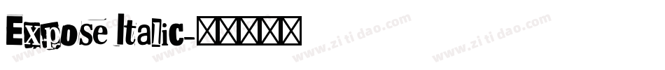 Expose Italic字体转换